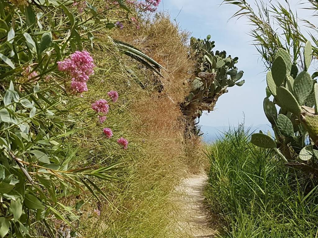 Hiking vacation in Italy